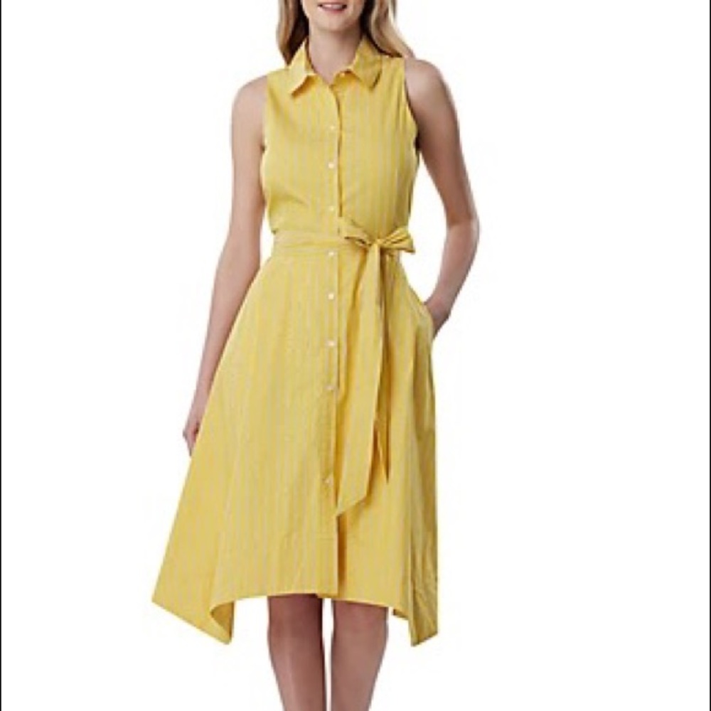 Tahari ASL Women’s Sleeveless Stripe Button Down Shirt Dress Pockets Sz 8